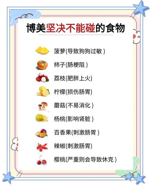 巧克力糖伤狗,剩菜火腿勿喂,科学喂养保健康(狗子不能吃什么) 巧克力糖伤狗,剩菜火腿勿喂,科学喂养保健康(狗子不能吃什么)