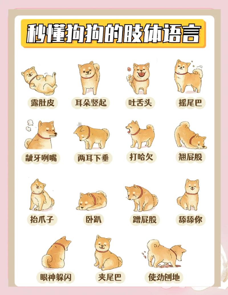 老北京话里亲昵的狗狗称呼(狗子是哪里的方言) 老北京话里亲昵的狗狗称呼(狗子是哪里的方言)