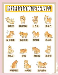 老北京话里亲昵的狗狗称呼（狗子是哪里的方言）