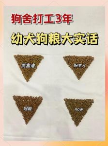 挑对狗粮很重要！（狗狗口粮怎么选认准超哇塞）