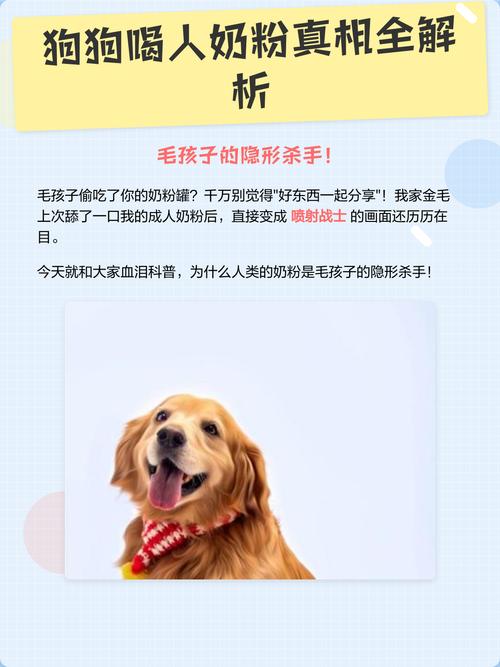 狗狗奶粉别乱喂,羊奶粉更合适!(人喝的奶粉狗狗能喝吗) 狗狗奶粉别乱喂,羊奶粉更合适!(人喝的奶粉狗狗能喝吗)