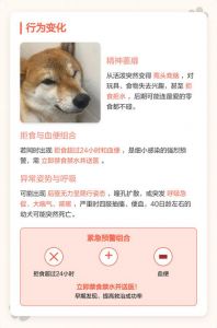 狗狗细小病毒怎么办？（小狗翻肠子一般几天就没事了）