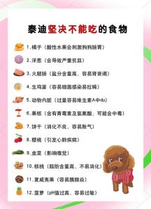 狗狗不能吃的食物清单，防中毒必备！（狗不能吃什么）