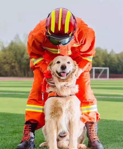 狗狗临终想走,理解不阻拦,安静送它走(狗狗不行了放她走是一个好的选择) 狗狗临终想走,理解不阻拦,安静送它走(狗狗不行了放她走是一个好的选择)