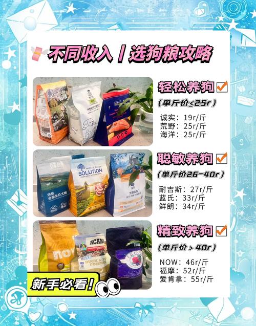 孕犬哺乳期营养,科学喂养保健康(怀孕狗狗选粮) 孕犬哺乳期营养,科学喂养保健康(怀孕狗狗选粮)