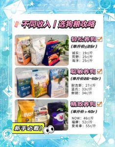 孕犬哺乳期营养，科学喂养保健康（怀孕狗狗选粮）