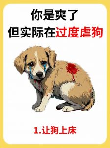 小狗玩耍哭泣？快看看是不是玩具惹的祸！（小狗为什么玩4i会哭）