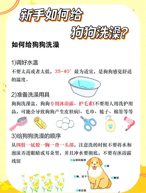 选对狗狗沐浴露,温和又护肤!(狗狗沐浴露如何挑选) 选对狗狗沐浴露,温和又护肤!(狗狗沐浴露如何挑选)