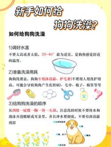 选对狗狗沐浴露，温和又护肤！（狗狗沐浴露如何挑选）