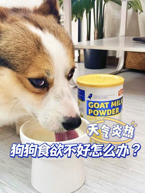 2个月小狗无母乳喝什么?羊奶粉喂养护理指南(两个月的狗狗能喝羊奶粉吗) 2个月小狗无母乳喝什么?羊奶粉喂养护理指南(两个月的狗狗能喝羊奶粉吗)