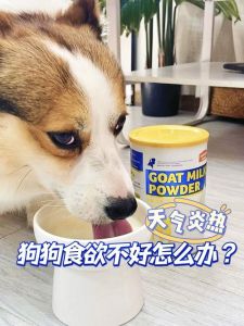 2个月小狗无母乳喝什么？羊奶粉喂养护理指南（两个月的狗狗能喝羊奶粉吗）