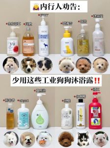 选对狗狗沐浴露，温和又实惠！（狗狗沐浴露哪个牌子好）