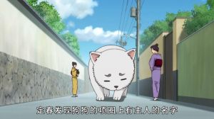 可爱的狗狗，神乐的好伙伴（银魂狗狗出场是多少集）