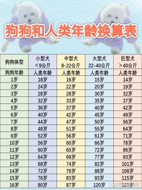 狗狗5岁相当于人类56-57岁(狗子5岁相当于人几岁) 狗狗5岁相当于人类56-57岁(狗子5岁相当于人几岁)