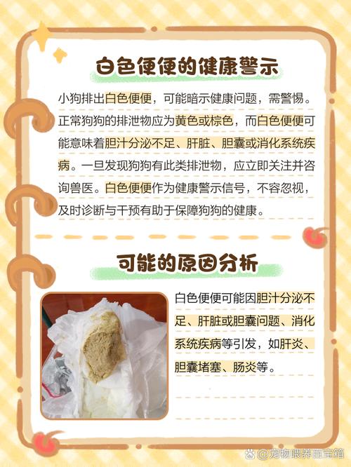 狗狗白便怎么回事?看这里!(狗狗拉白色粑粑) 狗狗白便怎么回事?看这里!(狗狗拉白色粑粑)
