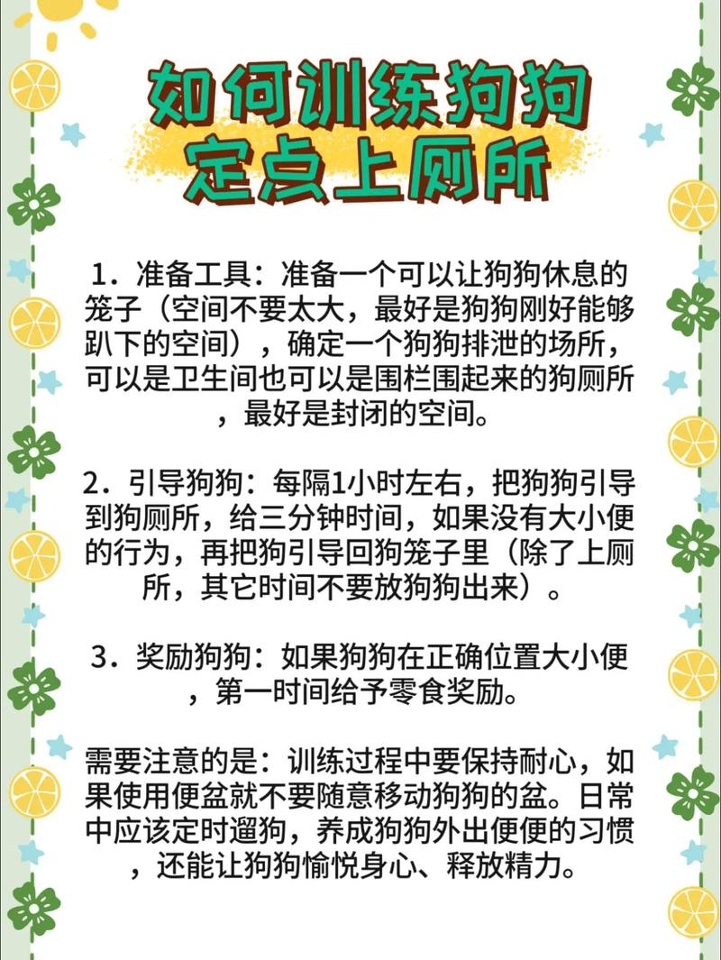 耐心正向引导,帮小狗养成上厕所好习惯(怎么教小狗上厕所) 耐心正向引导,帮小狗养成上厕所好习惯(怎么教小狗上厕所)