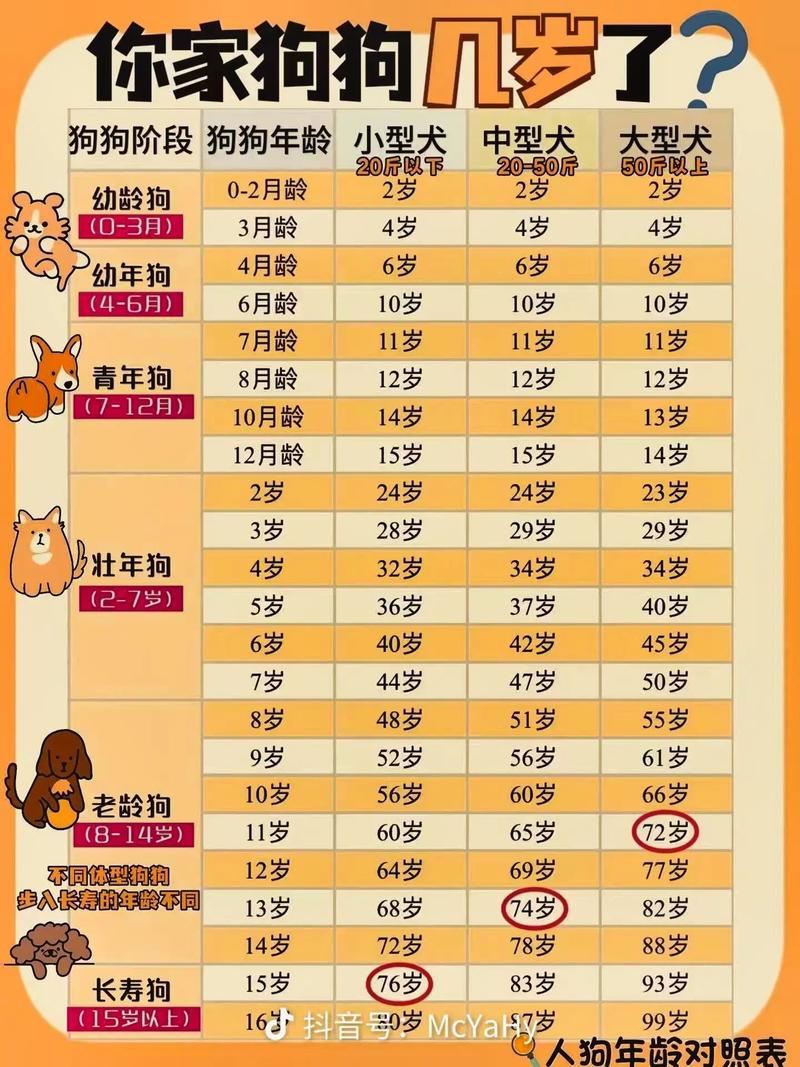 狗狗年龄对照表,大型犬老得快?(狗年龄对照表大全) 狗狗年龄对照表,大型犬老得快?(狗年龄对照表大全)