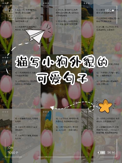 狗狗靠脸味儿声音抚摸记住主人(怎么记住狗狗的特别模样) 狗狗靠脸味儿声音抚摸记住主人(怎么记住狗狗的特别模样)