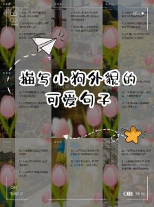 狗狗靠脸味儿声音抚摸记住主人（怎么记住狗狗的特别模样）