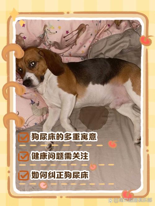 预示挑战或感情变,孕妇本命年人需注意健康事业(梦见窝粑粑和一条狗) 预示挑战或感情变,孕妇本命年人需注意健康事业(梦见窝粑粑和一条狗)