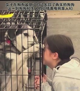 警员寻回走失爱犬，热心市民助力，警民携手解民忧（小明的狗丢了后来在狗市上找到）