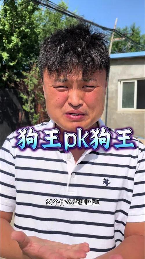 下司犬长毛成狗王,威严领群,人气旺!(狗王指的是人还是狗) 下司犬长毛成狗王,威严领群,人气旺!(狗王指的是人还是狗)