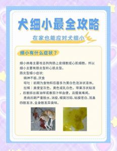 呕吐腹泻致命，及时治疗是关键（狗狗细小怎么样才好）