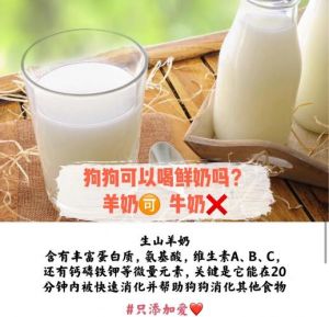 满月小狗母乳最佳，羊奶粉替代，宠物专用，冲泡注意（满月小狗吃什么样的羊奶粉）