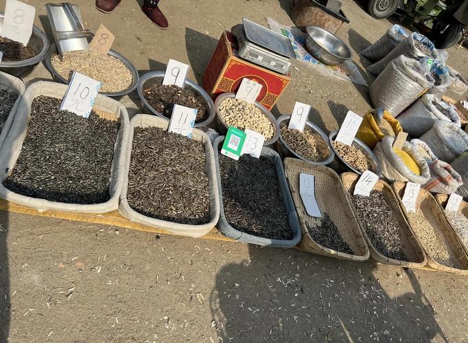从交易场变身休闲特色集市(肃宁大集狗市在哪块) 从交易场变身休闲特色集市(肃宁大集狗市在哪块)