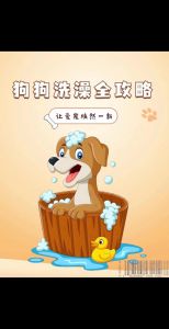 狗狗专用香波洗护，科学洗澡保健康（狗狗沐浴露和人用有什么区别）