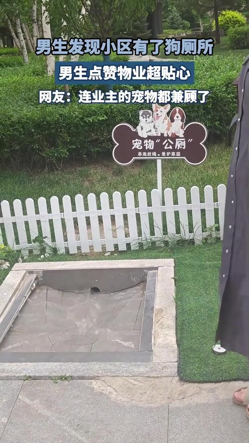 城市宠物粪便处理难,影响卫生与形象(公园的活体狗厕) 城市宠物粪便处理难,影响卫生与形象(公园的活体狗厕)