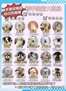全球狗种多，选对适合你的宠物狗！（宠物狗品种大全全图）