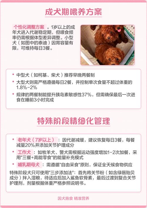 狗狗几周后喝羊奶?奶粉到狗粮的过渡方法(狗狗喂羊奶粉到几个月) 狗狗几周后喝羊奶?奶粉到狗粮的过渡方法(狗狗喂羊奶粉到几个月)