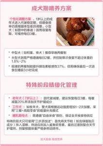 狗狗几周后喝羊奶？奶粉到狗粮的过渡方法（狗狗喂羊奶粉到几个月）