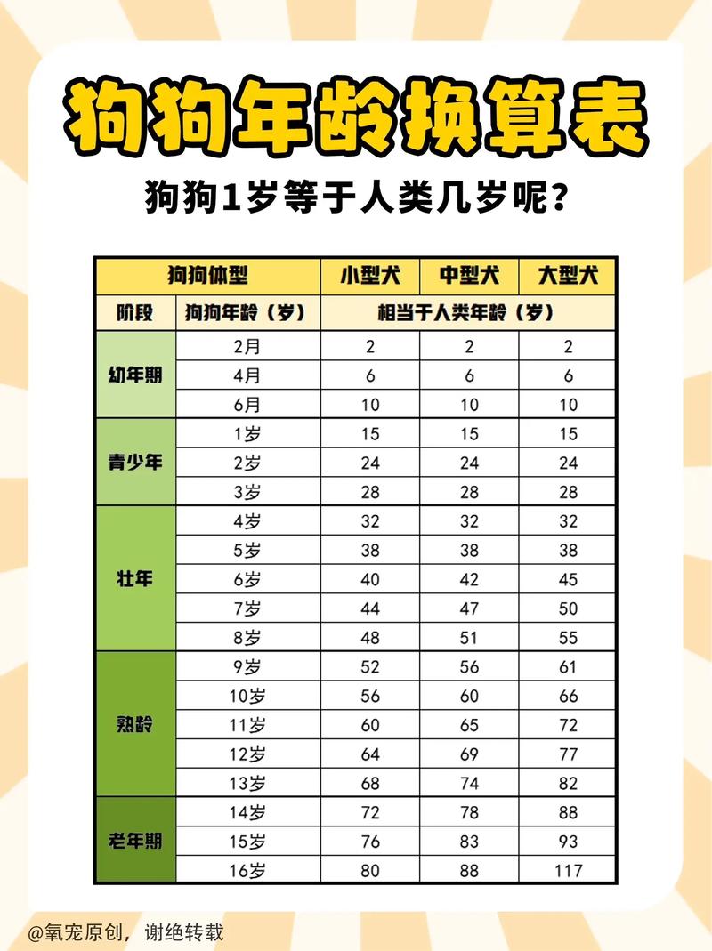 分子时钟更精准(小狗4岁约等于人的多少岁) 分子时钟更精准(小狗4岁约等于人的多少岁)
