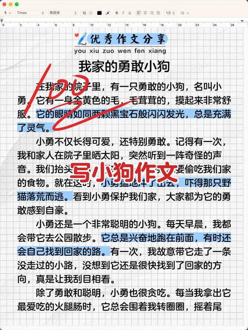 为何无人能解?(小狗需要主人于望秋) 为何无人能解?(小狗需要主人于望秋)