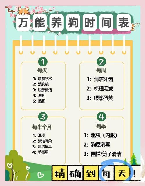 健康活泼小妙招(小狗任务清单100图) 健康活泼小妙招(小狗任务清单100图)