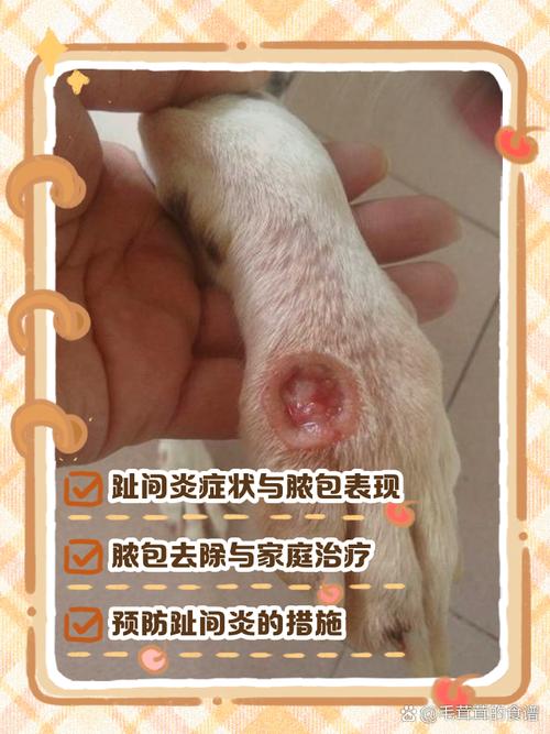 土狗子等方言词汇,传承地方文化记忆(挤了狗子是哪里的叫法) 土狗子等方言词汇,传承地方文化记忆(挤了狗子是哪里的叫法)