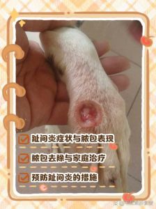 土狗子等方言词汇，传承地方文化记忆（挤了狗子是哪里的叫法）