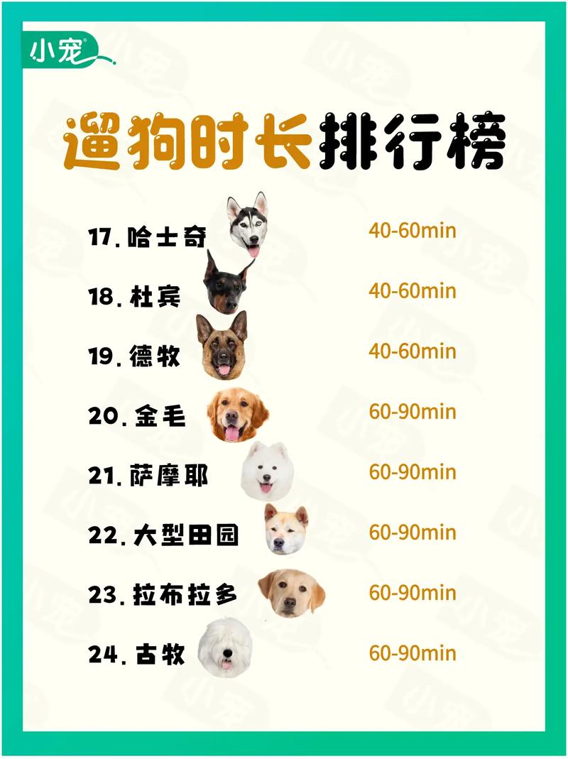 狗狗打完疫苗几月能出去?(狗狗多大可以带出去溜) 狗狗打完疫苗几月能出去?(狗狗多大可以带出去溜)