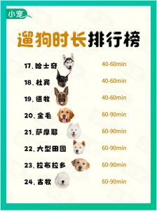狗狗打完疫苗几月能出去？（狗狗多大可以带出去溜）