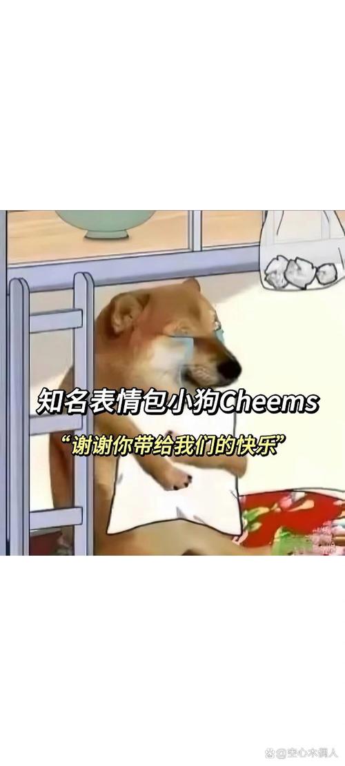小狗托盘走红,治愈系表达感谢(谢谢你狗子是什么梗) 小狗托盘走红,治愈系表达感谢(谢谢你狗子是什么梗)