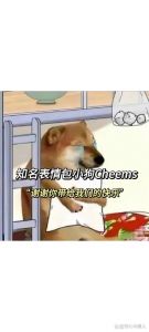 小狗托盘走红，治愈系表达感谢（谢谢你狗子是什么梗）