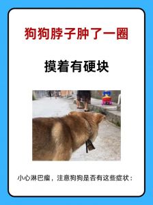 狗吠叫是警戒，不是攻击，正确应对很重要（拎起狗的后脖会叫的狗长大真的咬人吗）
