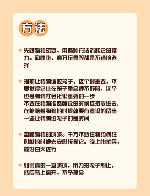 博美约克夏选哪个?幼犬到家头三天的适应与护理(如何养狗新手教程) 博美约克夏选哪个?幼犬到家头三天的适应与护理(如何养狗新手教程)