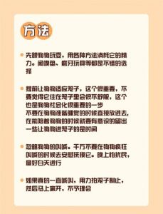 博美约克夏选哪个？幼犬到家头三天的适应与护理（如何养狗新手教程）
