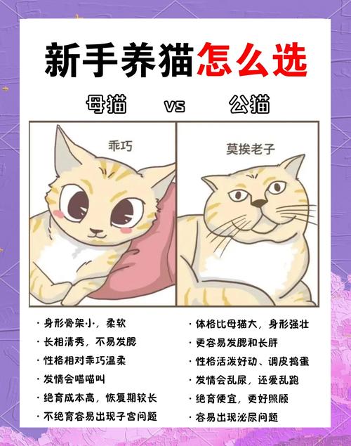 《崛起》选猫还是狗？看这里！（崛起选宠物怎么选猫不选狗）