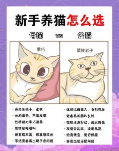 《崛起》选猫还是狗？看这里！（崛起选宠物怎么选猫不选狗）