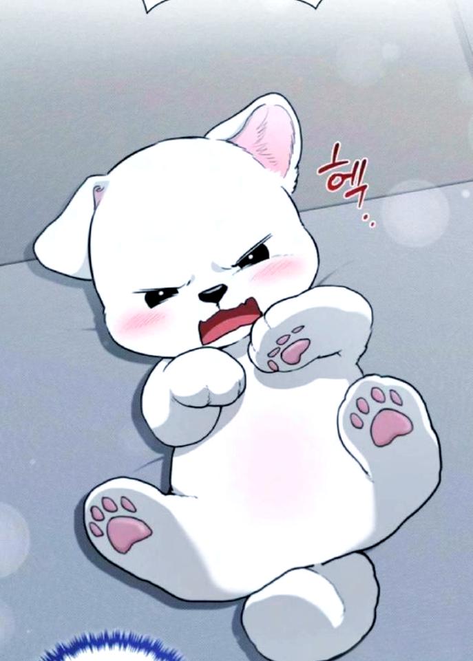 小狗咬人要小心,预防比治疗重要(没事千万不要招惹路边的小狗) 小狗咬人要小心,预防比治疗重要(没事千万不要招惹路边的小狗)