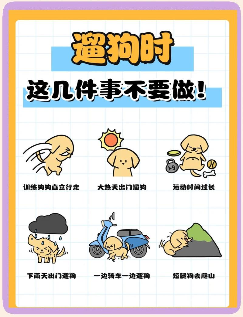 带水软绳避车流冬季短夏季傍晚清理卫生(遛狗一个小时需要带水吗) 带水软绳避车流冬季短夏季傍晚清理卫生(遛狗一个小时需要带水吗)